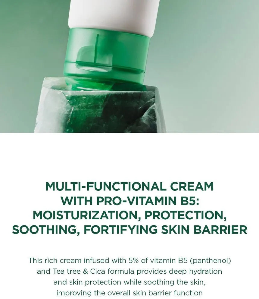 SKIN1004 - Madagascar Centella Tea-Trica B5 Cream 75ml