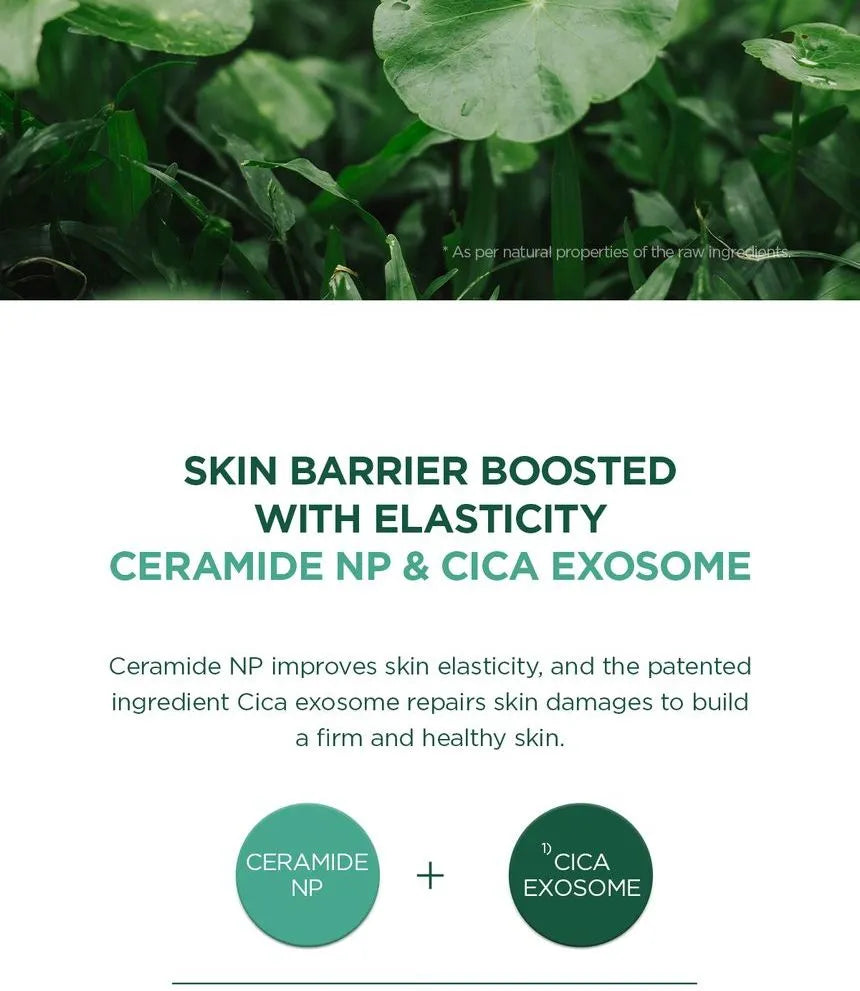 SKIN1004 - Madagascar Centella Tea-Trica B5 Cream 75ml